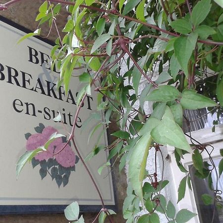 Thorpe Green House Vegetarian Bed & Breakfast Robin Hood's Bay Ngoại thất bức ảnh