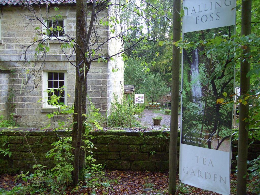 Thorpe Green House Vegetarian Bed & Breakfast Robin Hood's Bay Ngoại thất bức ảnh
