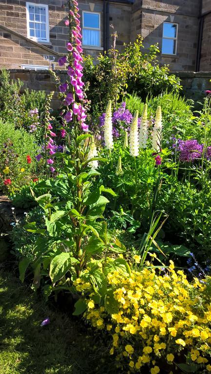 Thorpe Green House Vegetarian Bed & Breakfast Robin Hood's Bay Ngoại thất bức ảnh